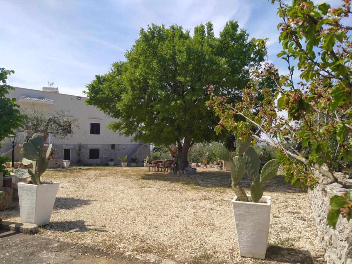Da Giò - Casa Vacanze a Locorotondo Exterior foto
