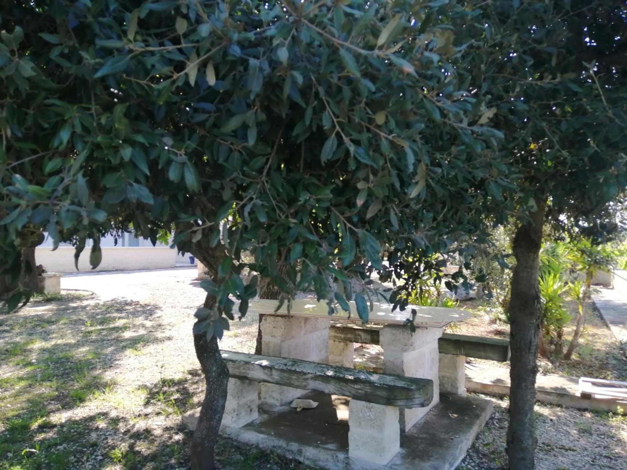 Da Giò - Casa Vacanze a Locorotondo Exterior foto